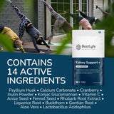 Kidney Support Offer- 60 Capsules